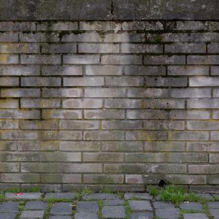 Photo Texture of Wall Bricks